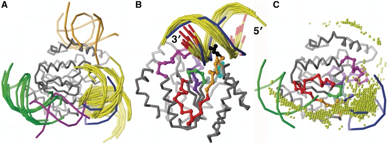 Figure 1.