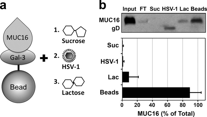 Fig 5