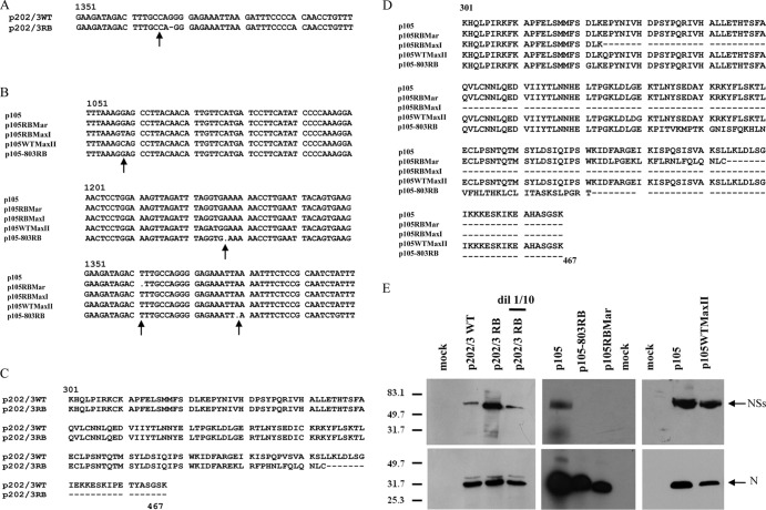 FIG 3