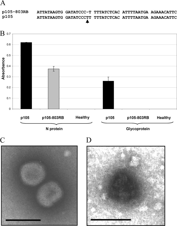 FIG 7