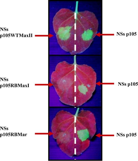 FIG 4