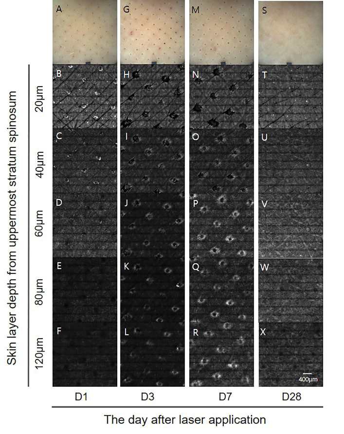 FIGURE 4.