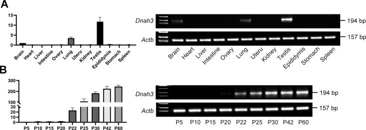 Figure 4—figure supplement 1.