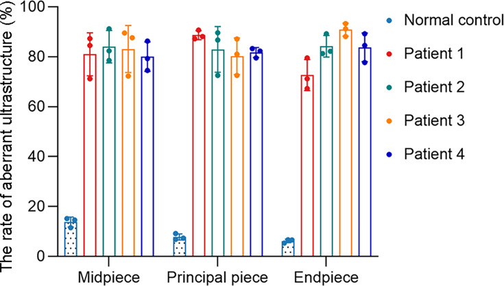 Figure 3—figure supplement 1.