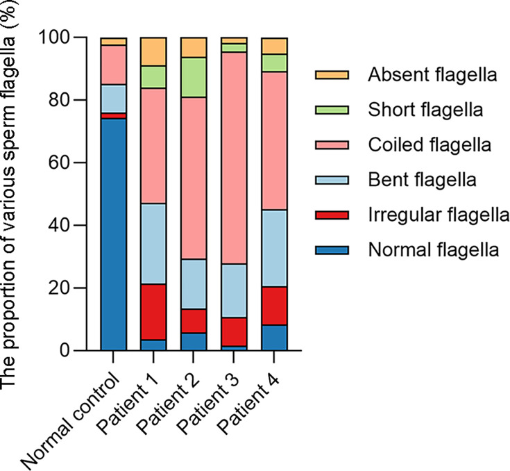 Figure 2—figure supplement 1.