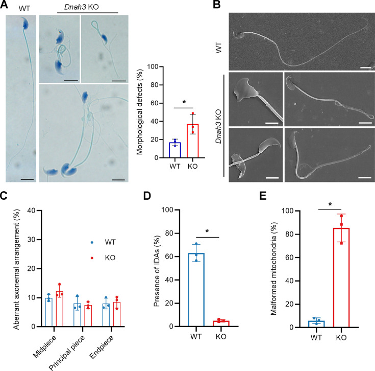 Figure 4—figure supplement 6.