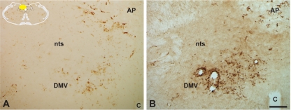 FIG. 10.