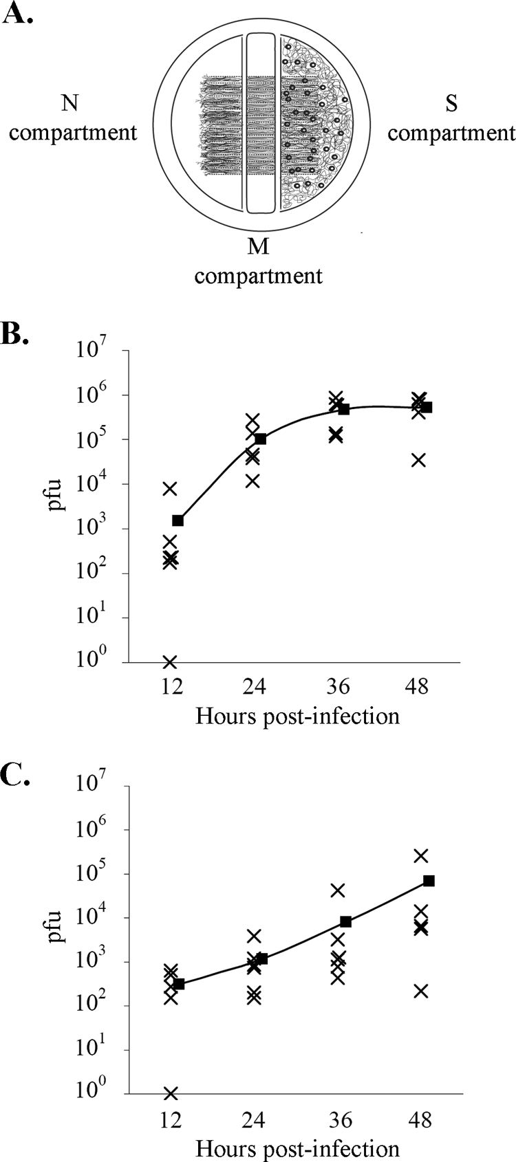 FIG. 2.