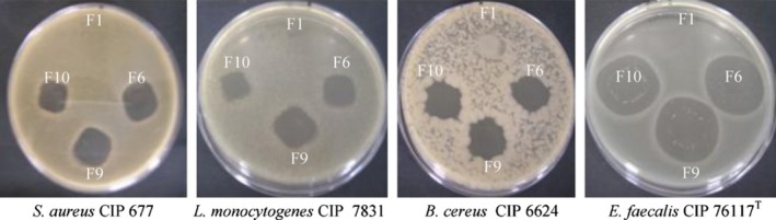 Figure 6