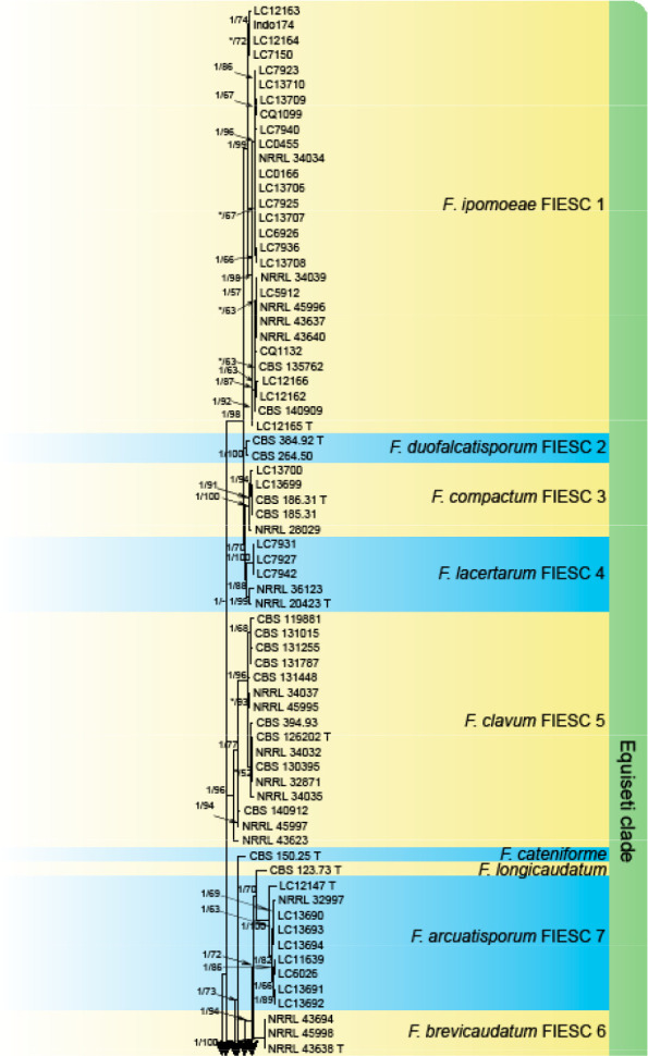 Fig. 4