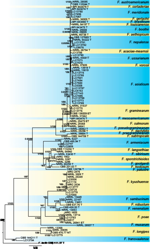 Fig. 7