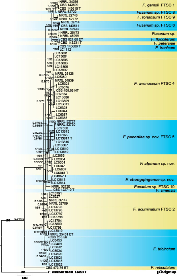 Fig. 8