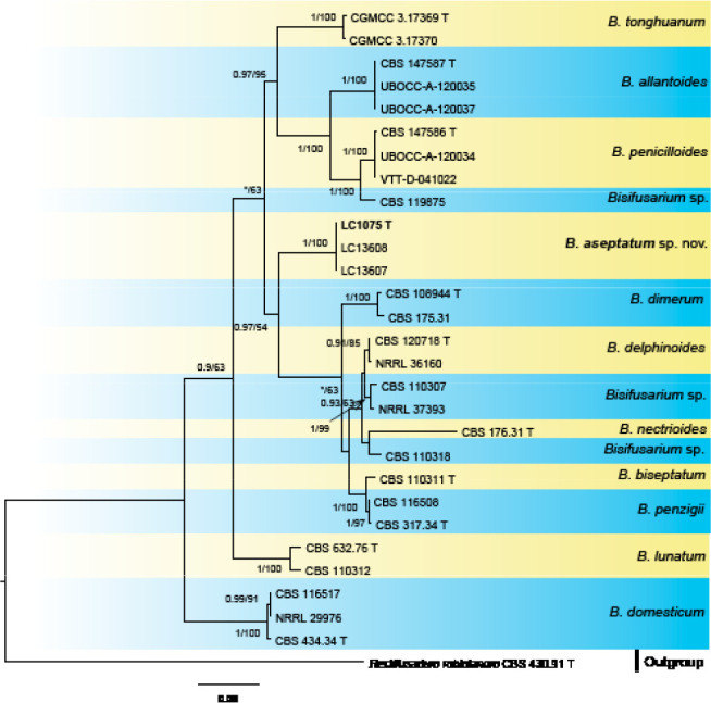 Fig. 9