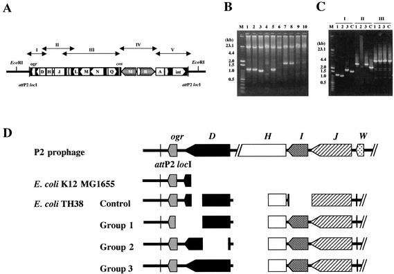 FIG. 6.