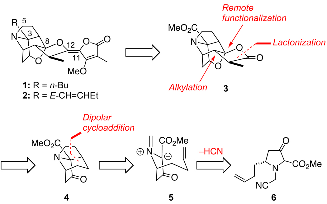 Scheme 1