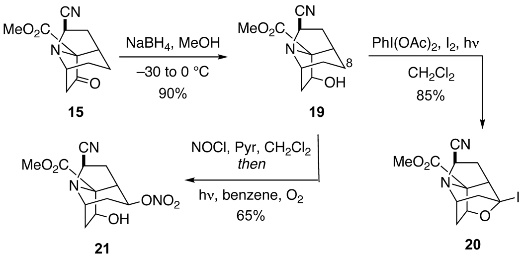 Scheme 5