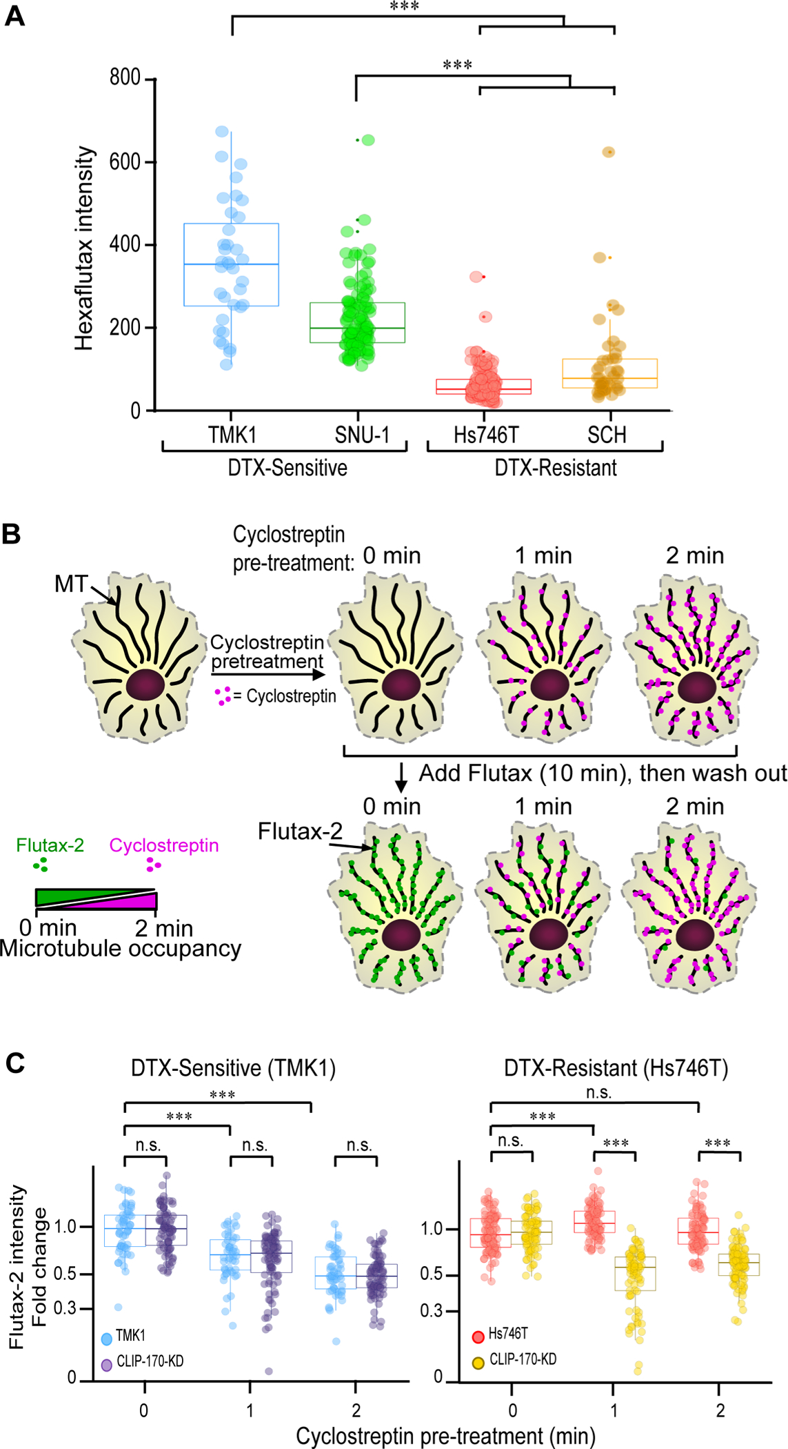 Figure 3: