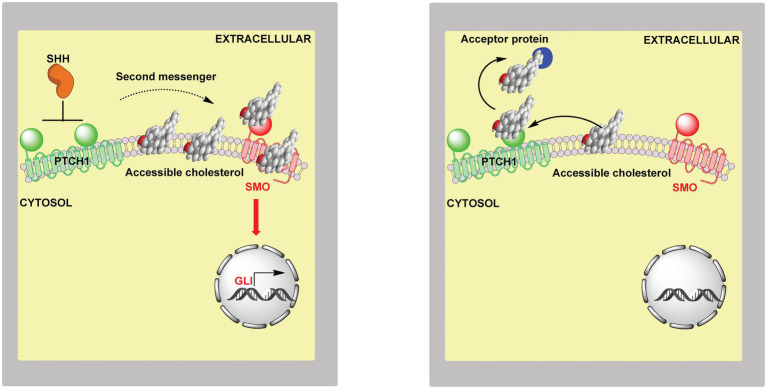 Figure 15