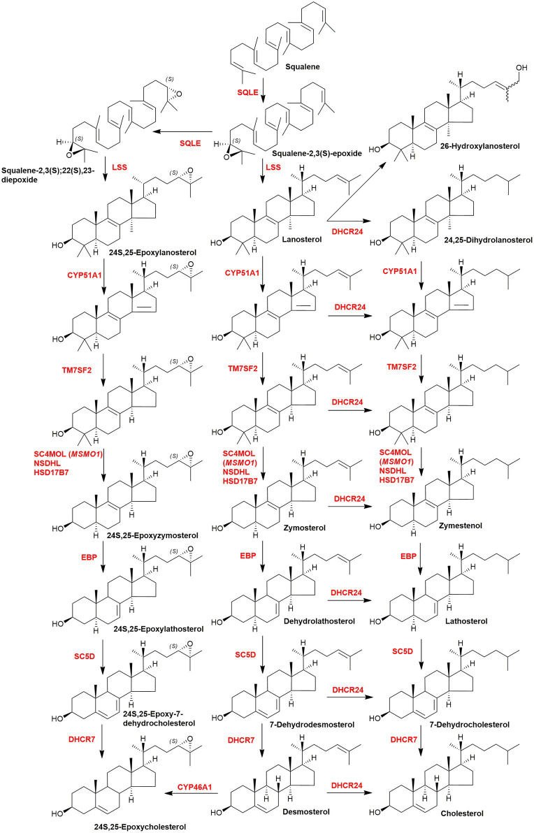 Figure 6