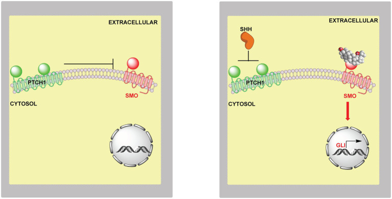 Figure 14