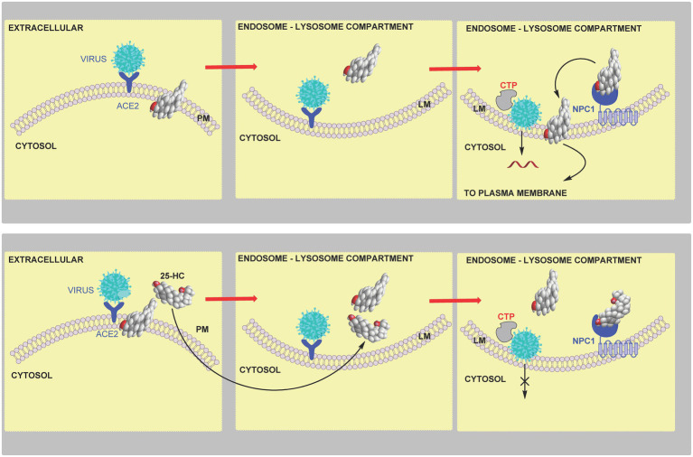 Figure 13