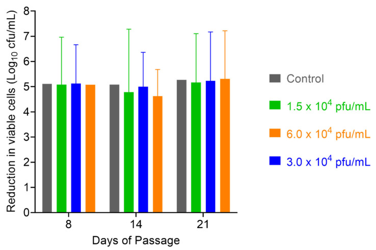 Figure 12