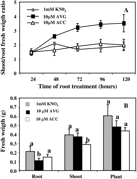 Figure 5.