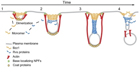 Fig. P1.