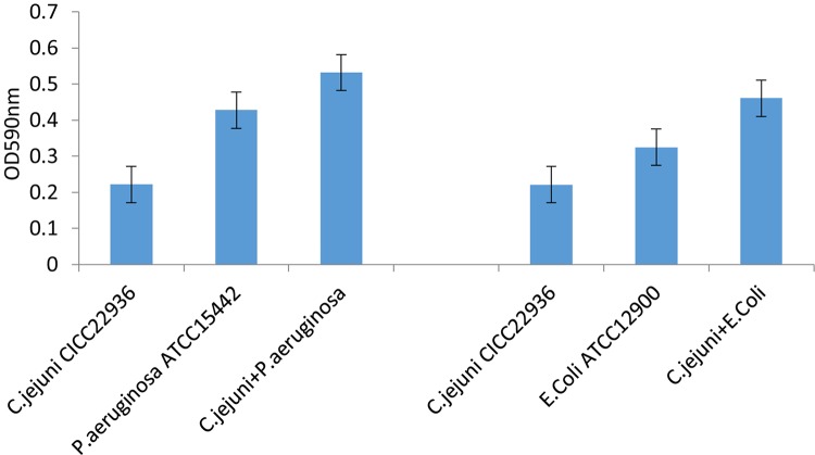 FIGURE 3