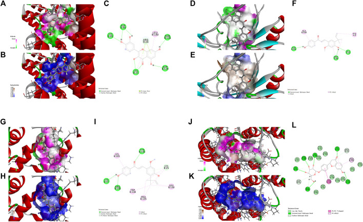 FIGURE 4