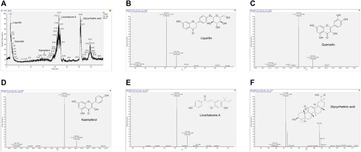 FIGURE 3