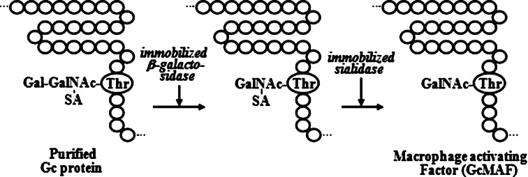 Fig. 2