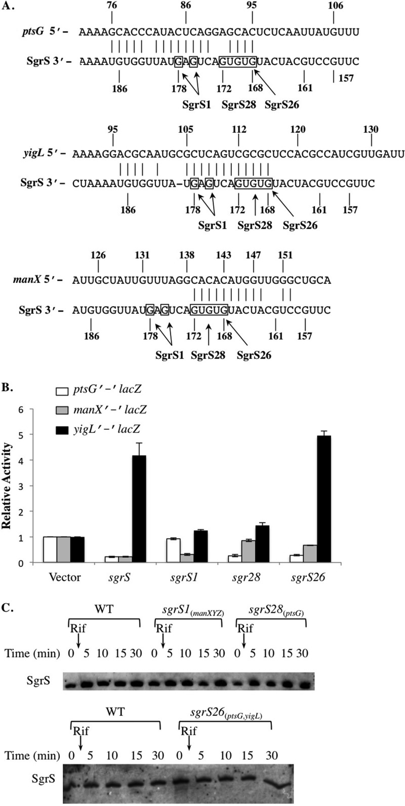 Fig 2