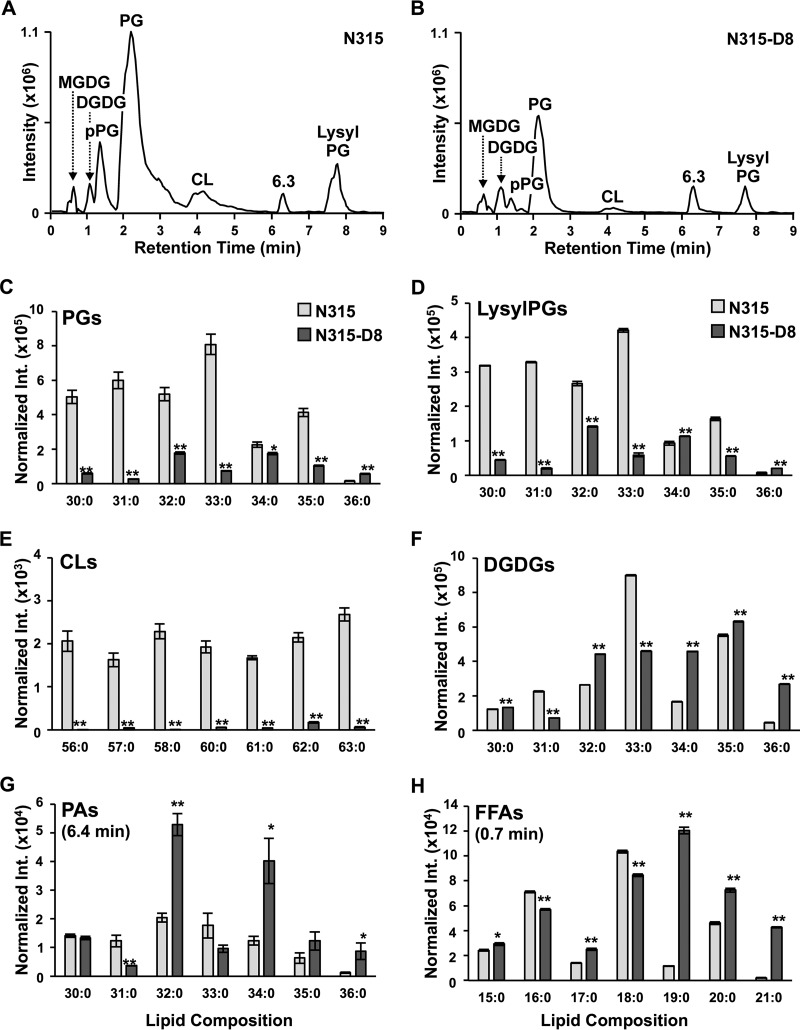 FIG 3 