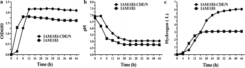 Fig. 8