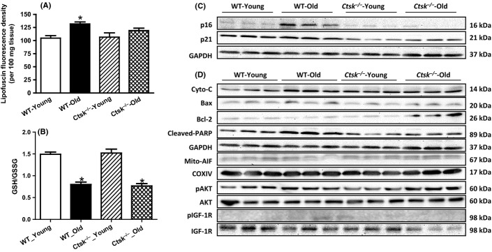 Fig 4