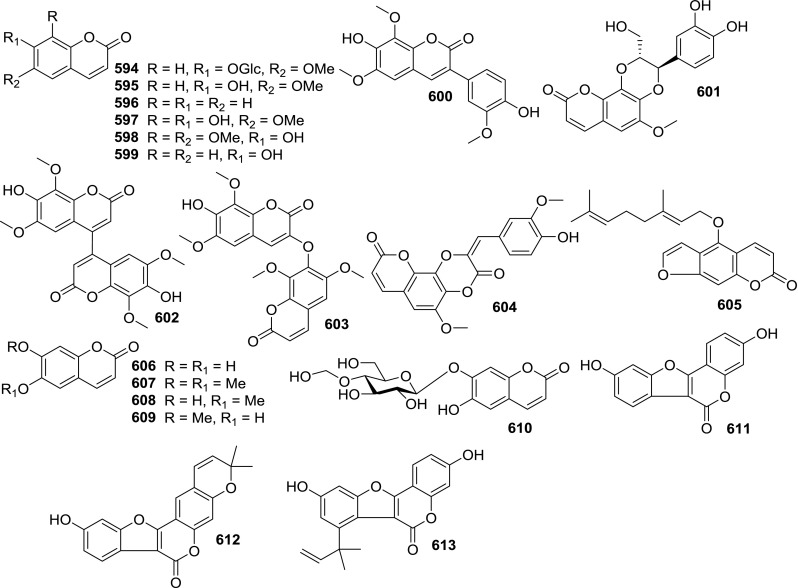 The Genus Solanum: An Ethnopharmacological, Phytochemical and ...