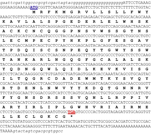 graphic file with name zbc010096643t001.jpg