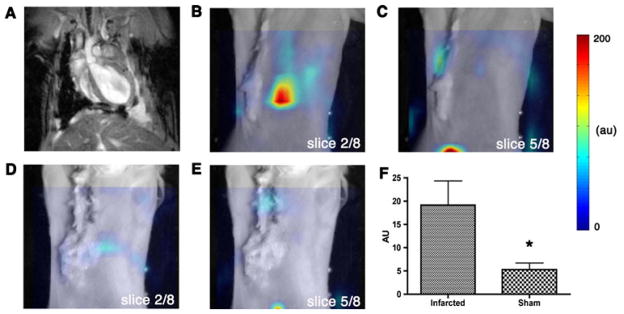 Fig. 6