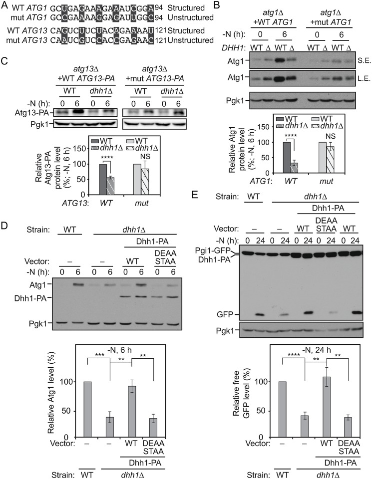 Fig 4