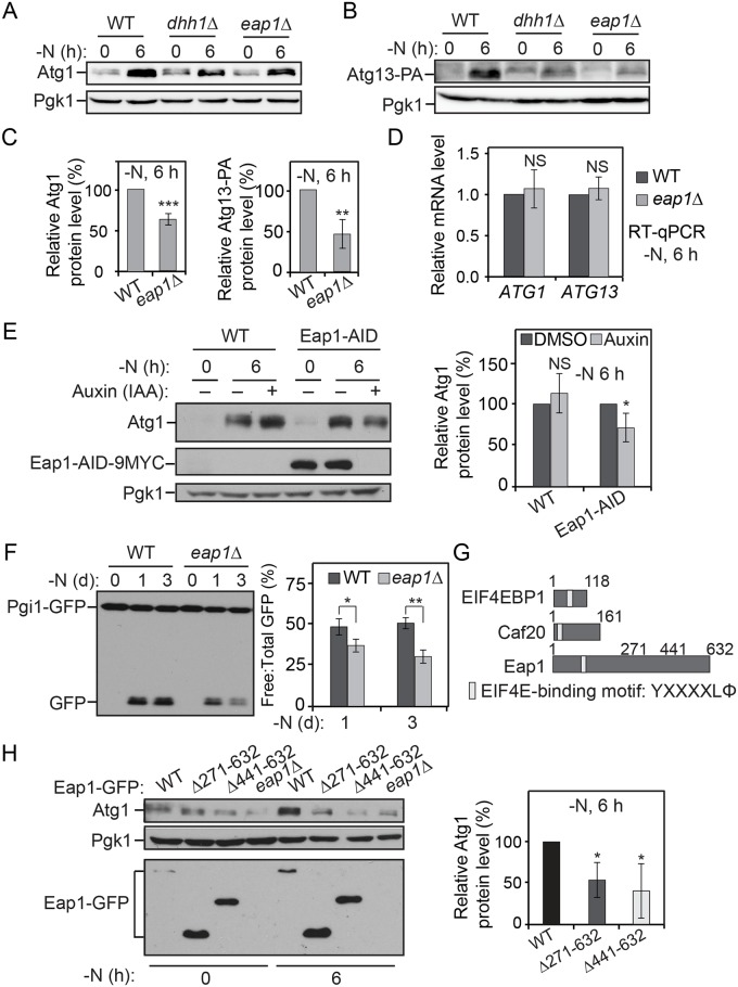 Fig 6