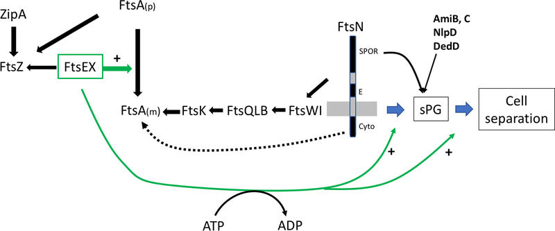 Fig. 1.