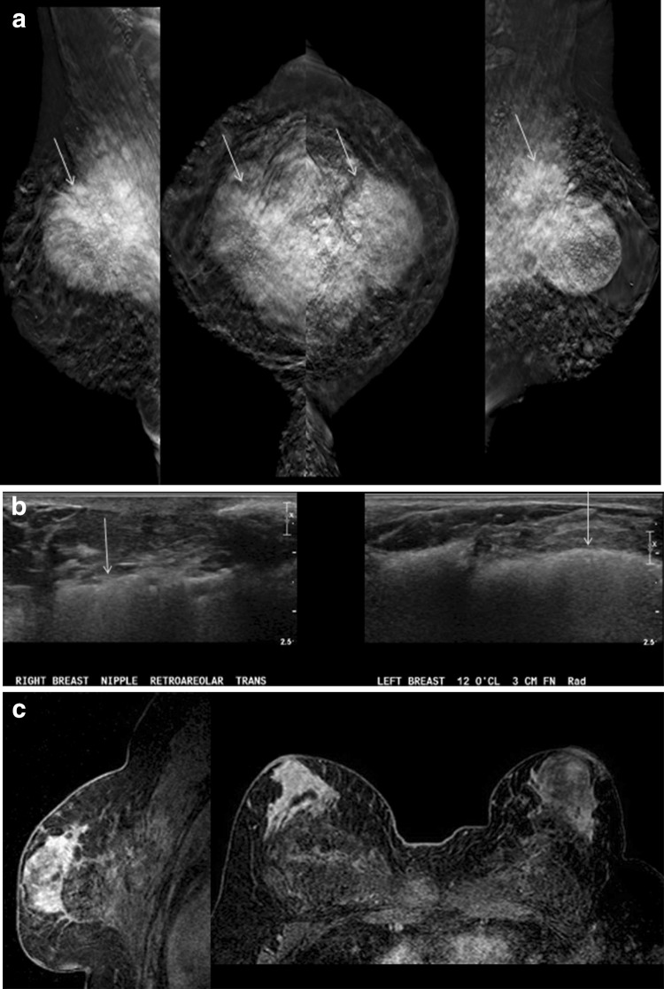 Fig. 6