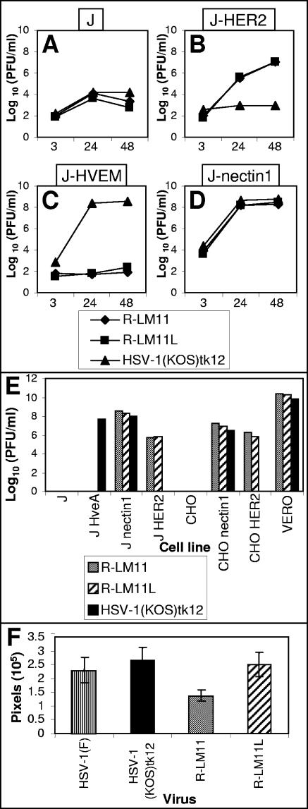 FIG. 6.