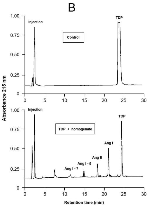 Fig.4