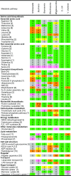 F<sc>IG</sc>. 4.—