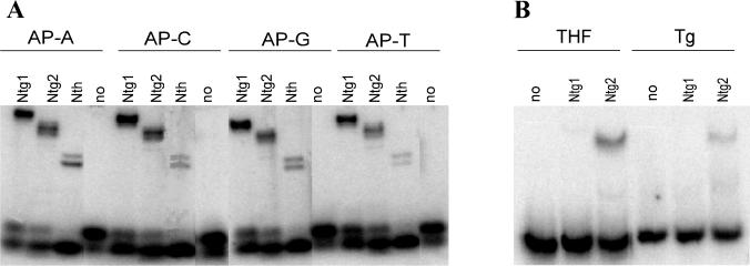 FIG. 7