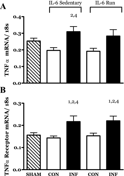 Fig. 12.