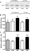 Fig. 13.