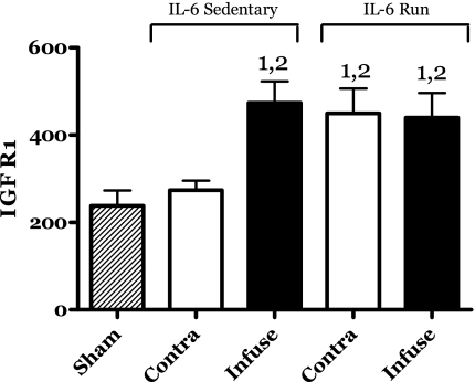 Fig. 8.